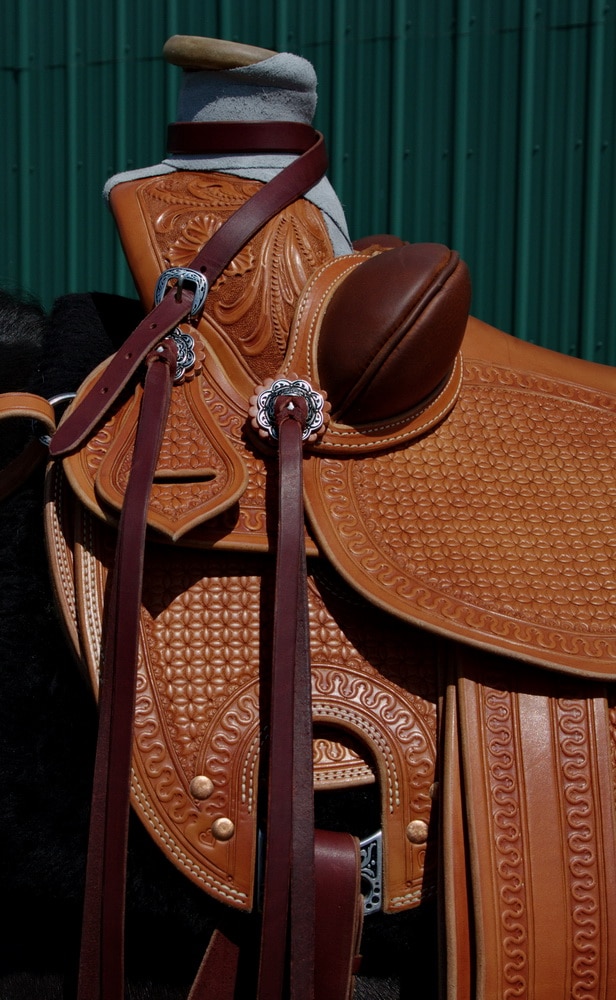 Dan's saddle 08_resize