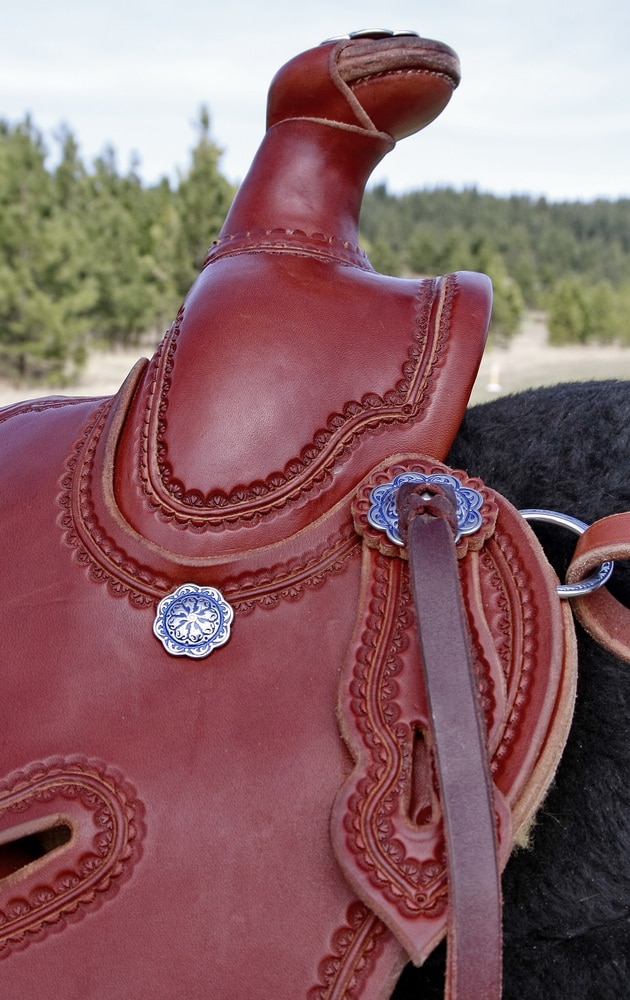 Lady's Astride Saddle 03_resize